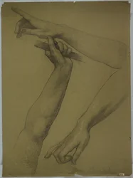 Drie Studies van Armen