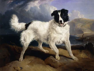 Een portret van Neptunus, 1824