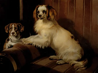 Bon(e)y en Var, c.1843