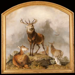Scène in Braemar - Hoogland herten