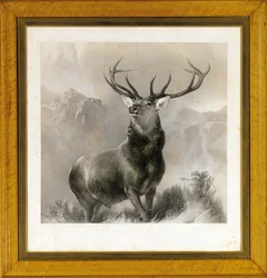 De monarch van de hooglanden, 1852