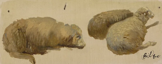Drie schapen in rust