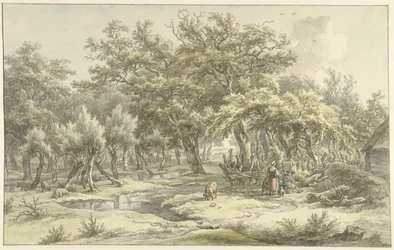 Landschap bij Eext (Drenthe)