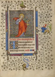 Johannes de Evangelist