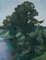Bomen aan het water