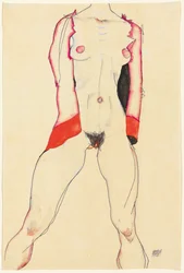 Vrouwelijke Torso