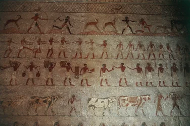 Beni-Hasan Necropolis. Graf van Amenemhat, detail: muurschilderingen die jachtscènes en het landleven uitbeelden