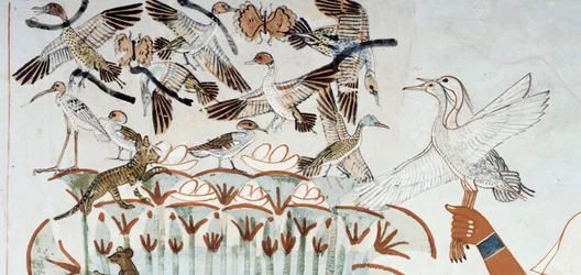 Eenden, nesten, vlinders, katten en knaagdieren, detail van de jacht- en visscène in de moerassen, fresco, noordmuur, langwerpige kamer, Thebaanse graf TT69, Sheikh Abd el-Qurna, Thebe. Egyptische beschaving, Nieuwe Rijk, Dynastie XVIII.