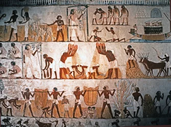 Egyptische kunst: oogstscène. Muurschildering in het graf van Menna te Elwe..., ca. 1400 v.Chr.
