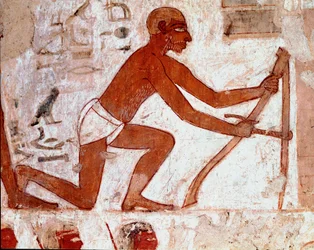 Egyptische kunst: Graf van Rekhmire. Ploeger aan het werk met zijn landbouwgereedschap. Fresco van Luxor (Site van Thebe, Necropolis van Sheikh Abd al-Gournah, linkeroever van de Nijl, Egypte)