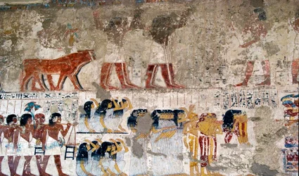 Egyptische antiquiteit: dragers van offers en rouwenden. Fresco van het graf van de vizier Ramose (18e dynastie). Luxor, Westelijke Oever, Vallei der Edelen Egypte - Oude Egypte: offerdragers en rouwenden. Fresco uit het graf van de vizier Ramose (18e dyna