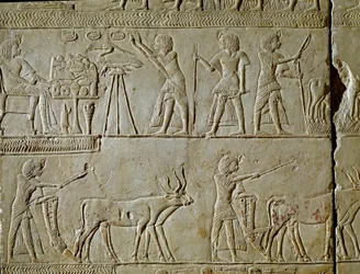Egyptische oudheid: scènes van werk op het veld en offers aan de farao. Detail van een reliëf uit het graf van Horemhed (circa 1323-1293 v.Chr.) koninklijke schrijver van Toetanchamon. 1354-1326 v.Chr. Bologna, Civico Museo Archeologico