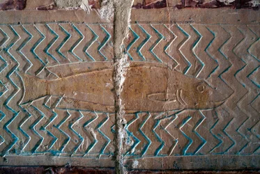Vissen, scènes van het koninkrijk Punt, zuidmuur van de centrale colonnade, dodentempel van Hatsjepsoet, Deir el-Bahari, Thebaanse necropolis (UNESCO Werelderfgoedlijst)