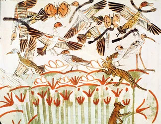 Vissen en jagen in de moerassen, detail van de vogels, uit de Grafkapel van Menna, Nieuwe Koninkrijk (muurschildering)