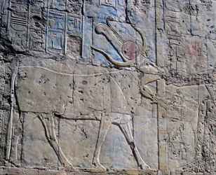 Godin Hathor in de vorm van een heilige koe, geschilderd reliëf, Kapel van Hathor, Dodentempel van Koningin Hatsjepsoet, ook bekend als Djeser-Djeseru, Deir el-Bahri, Thebe (Unesco Werelderfgoedlijst)