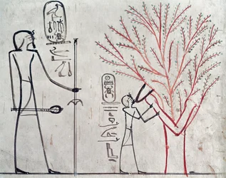 Isis veranderd in een sycamoreboom die Tuthmosis III voedt