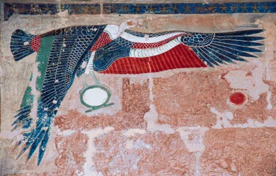 Geschilderd reliëf dat een gier van Opper-Egypte afbeeldt, Dodentempel van Hatsjepsoet, Deir el-Bahari, Luxor, Thebe