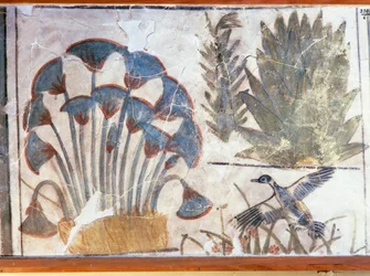 Schilderij van een eend tussen planten, uit het Paleis van Akhenaton, El-Awara, Egypte