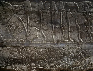 Planten teruggebracht van Thoetmosis III