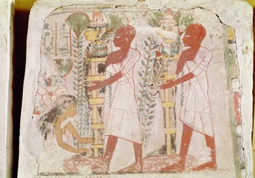 Voorbereiding van twee mummies voor de zuiveringsceremonie, uit het graf van Merymaat, Nieuwe Koninkrijk (muurschildering)