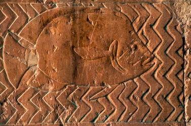 Afbeelding van vissen, scènes van Koninkrijk Punt, zuidmuur van centrale colonnade, Dodentempel van Hatsjepsoet, Deir el-Bahari, Luxor, Thebe (UNESCO Werelderfgoedlijst)