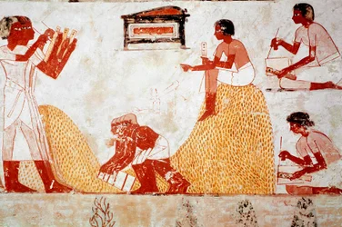 Graf van Menna: landbouwscène: graanoogst onder toezicht van een schrijver die de oogst registreert (fresco)
