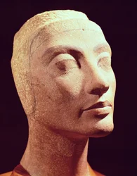 Onafgewerkt hoofd van Nefertiti, Nieuwe Koninkrijk, ca. 1365-49 v.Chr. (kwartsiet)