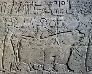 Personages die mijnbouwdistricten symboliseren brengen hun eerbetoon aan god, reliëf, Ramses II Binnenplaats, Tempel van Amon (Unesco Werelderfgoedlijst)