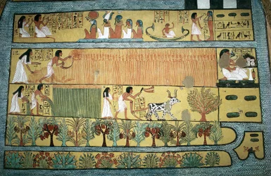 Egypte, Thebe, dorp van staatsarbeiders in Dayr al-Madinah (Deir el-Medina), tombe van Sennedjem, fresco die landbouwscènes in de velden van Ialu afbeeldt, Nieuwe Koninkrijk, Dynastie XIX