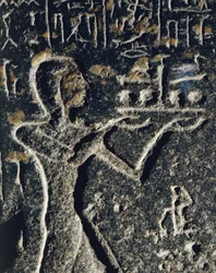 Granieten standbeeld dat prins Merneptah in aanbidding toont, gewijd aan god Ptah