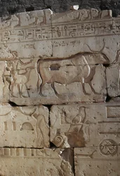 Reliëf, Tempel van Ramses II, Abydos, Egypte, Egyptische beschaving, Nieuwe Rijk, Dynastie XIX