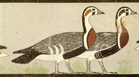 Meidum-ganzen, uit het graf van Nefermaat en Atet, Oude Koninkrijk, c.2620 v.Chr.