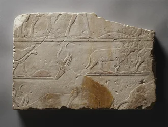 Reliëf met woestijndieren, Oude Rijk, gevonden in Saqqara, c.2472-2455 v.Chr.