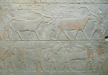 Dienaren die een oryx en een antilope drijven en anderen die bagage dragen, uit de Mastaba van Akhethotep, Saqqara, Oude Rijk, c.2400 v.Chr.