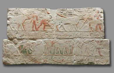 Reliëf van Landbouwscènes, uit Saqqara, ca. 2311-2281