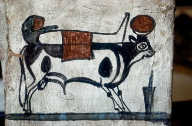 Detail van een houten sarcofaag met een afbeelding van de heilige stier, Api, die een mummie op zijn rug draagt