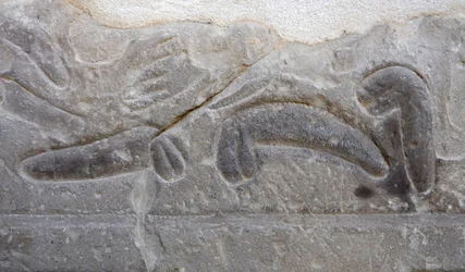 Stapels mannelijke geslachtsdelen afgesneden door de vijand, Tempel van Horus, Edfu