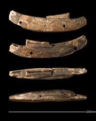 Modelboot, Hierakonpolis, Vroeg-Dynastieke Periode (ca. 2950 - ca. 2575 v.Chr.) (gesneden ivoor)