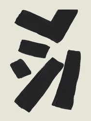 Zwarte abstracte streken