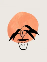 Boho-potplant