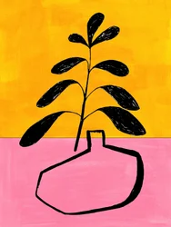 Kleurrijke potplant