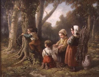 Brandhout Verzamelen