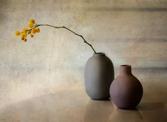 Minimalistische bloemenvazen