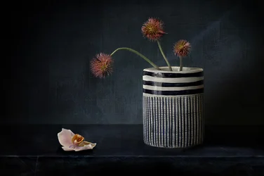 Stemmige, stekelige bloemen