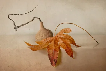 Natuurlijk herfststilleven