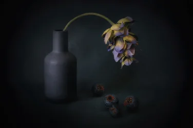 Beschaduwde bloem en bessen