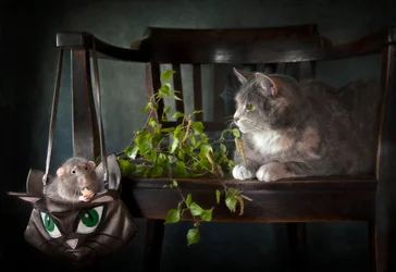 De nieuwsgierige kat en de rat