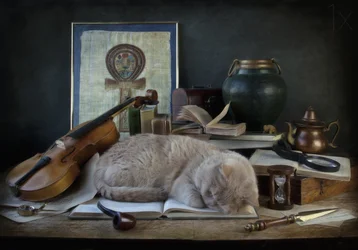 De studeerkamer van de slapende kat