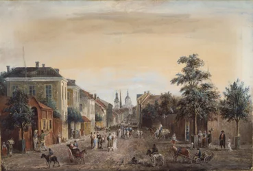 Straat in Stockholm (Drottninggatan)