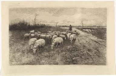 Herder met kudde schapen
